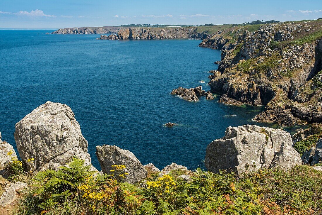 Frankreich, Finistere, Regionaler Naturpark von Armorica, Meeresnaturpark von iroise, Plogoff, die Pointe du Raz im Rang eines Grand National Site