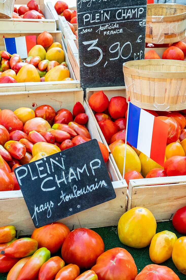 France, Haute Garonne, Toulouse, Boulevard de Strasbourg, the Cristal Palace market