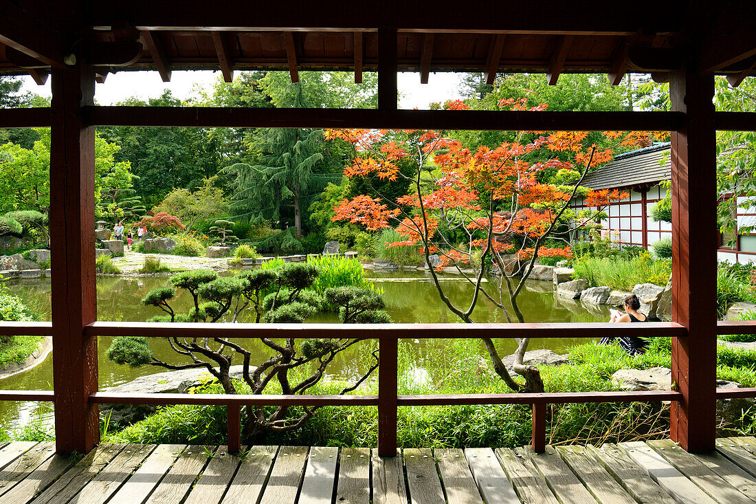 France, Loire Atlantique, Nantes, Ile de Nantes, the Japanese garden on the Island of Versailles