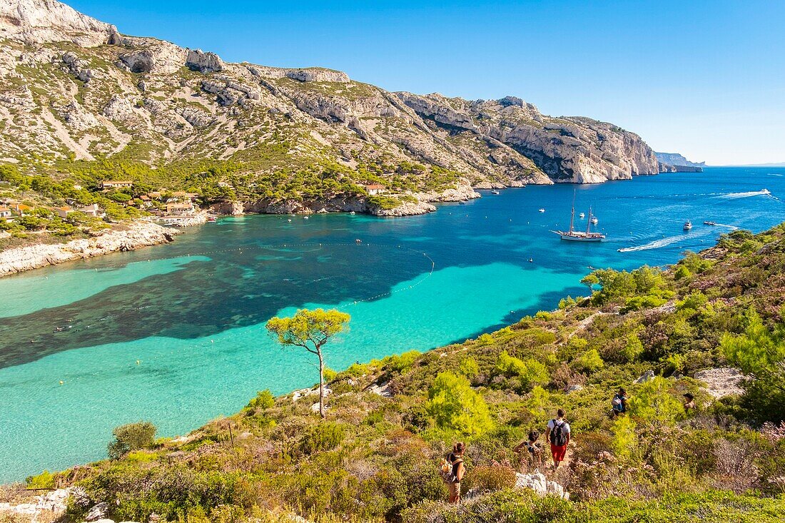 France, Bouches du Rhone, Marseille, Calanque of Sormiou, Calanques National Park