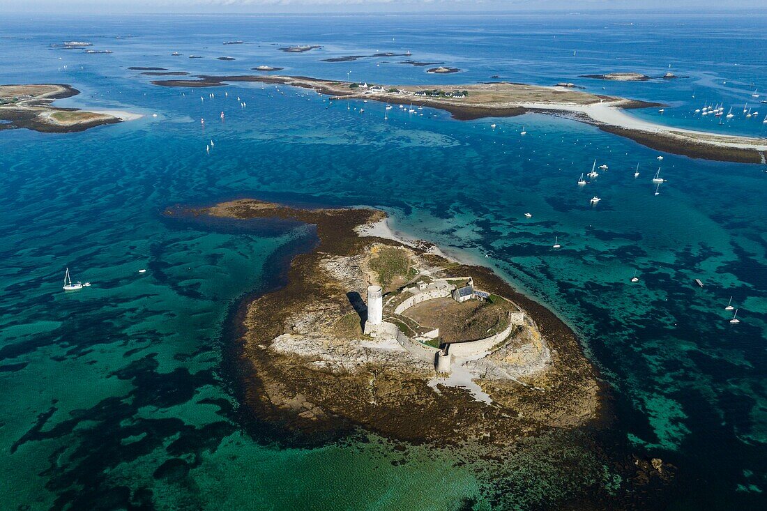 Europe, France, Finistere, Glenan Archipelago, Stork Island, Strong stork (aerial view)