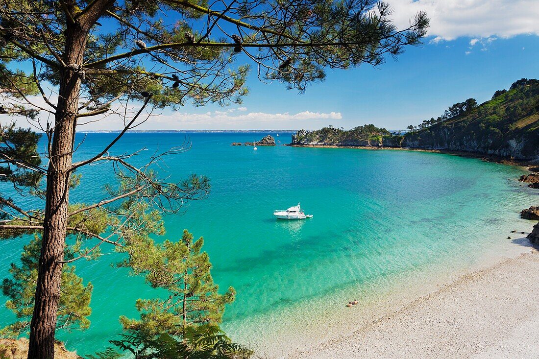 France, Finistere, Armoric Regional Naturel Park, Crozon Morgat, Saint Hernot, Virgin Island point, The Cap de la Chèvre one of the most beautiful beach of Europe