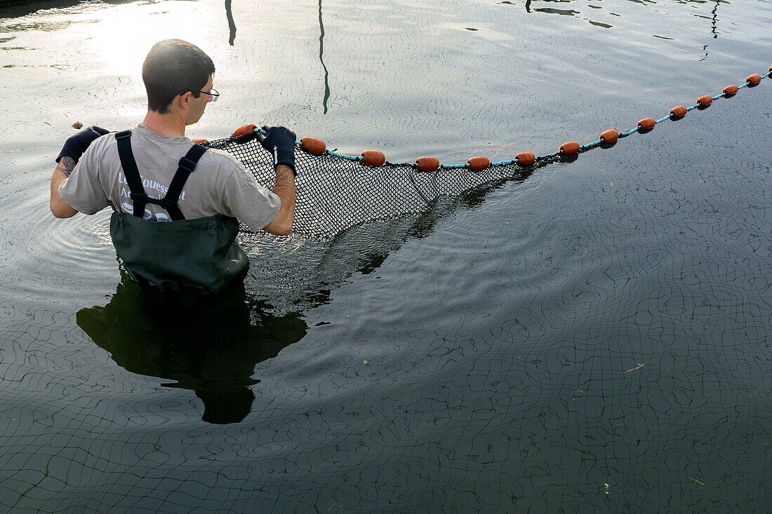 France, Bouches du Rhone, Saint Chamas, Etang de Berre, Marine Farm of La Durançole