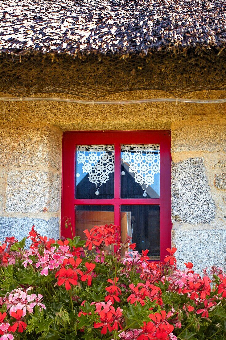 France, Finistere, Pays des Abers, flowery window in the hamlet of Meneham in Kerlouan