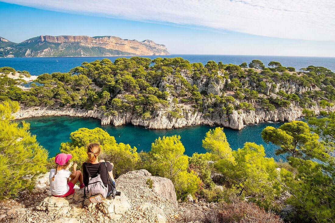 France, Bouches du Rhone, Cassis, the cove of Port Pin and Cap Canaille in the background, National Park of Calanques