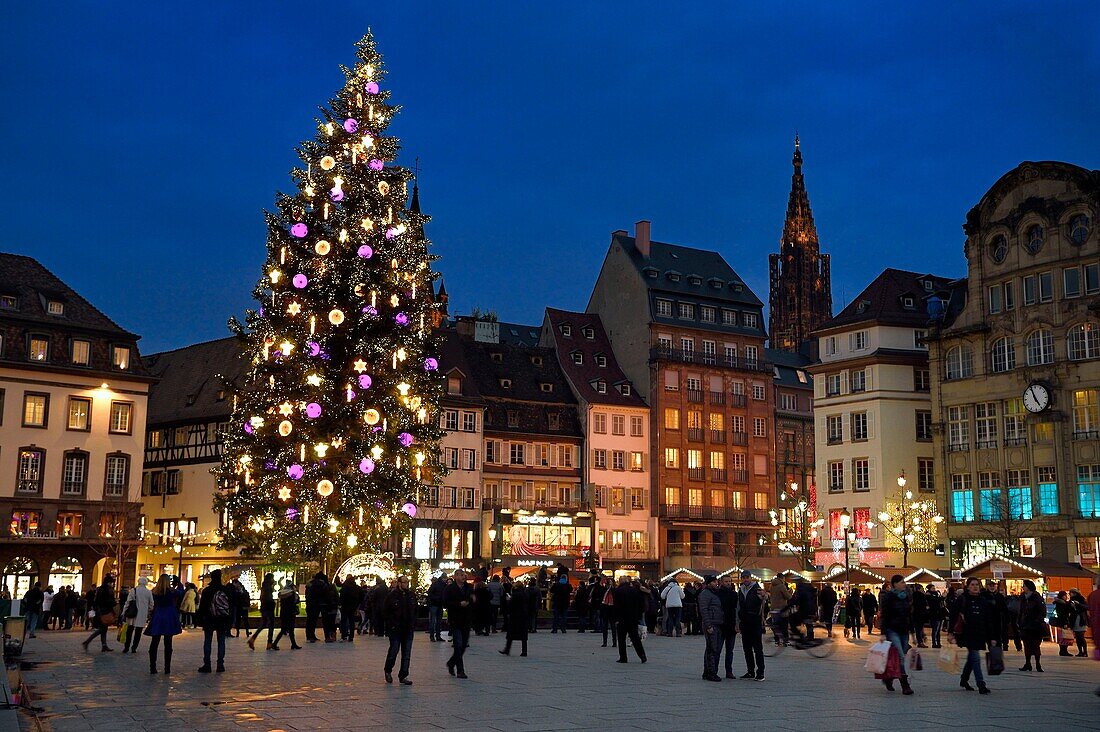 France, Bas Rhin, Strasbourg, old town listed as World Heritage by UNESCO, the Grand Christmas tree of the place Kléber and the Notre Dame cathedral in the background