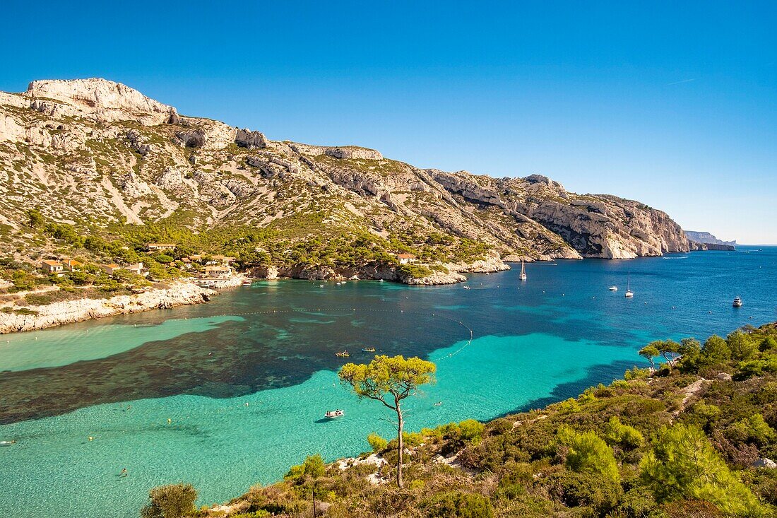 France, Bouches du Rhone, Marseille, Calanque of Sormiou, Calanques National Park