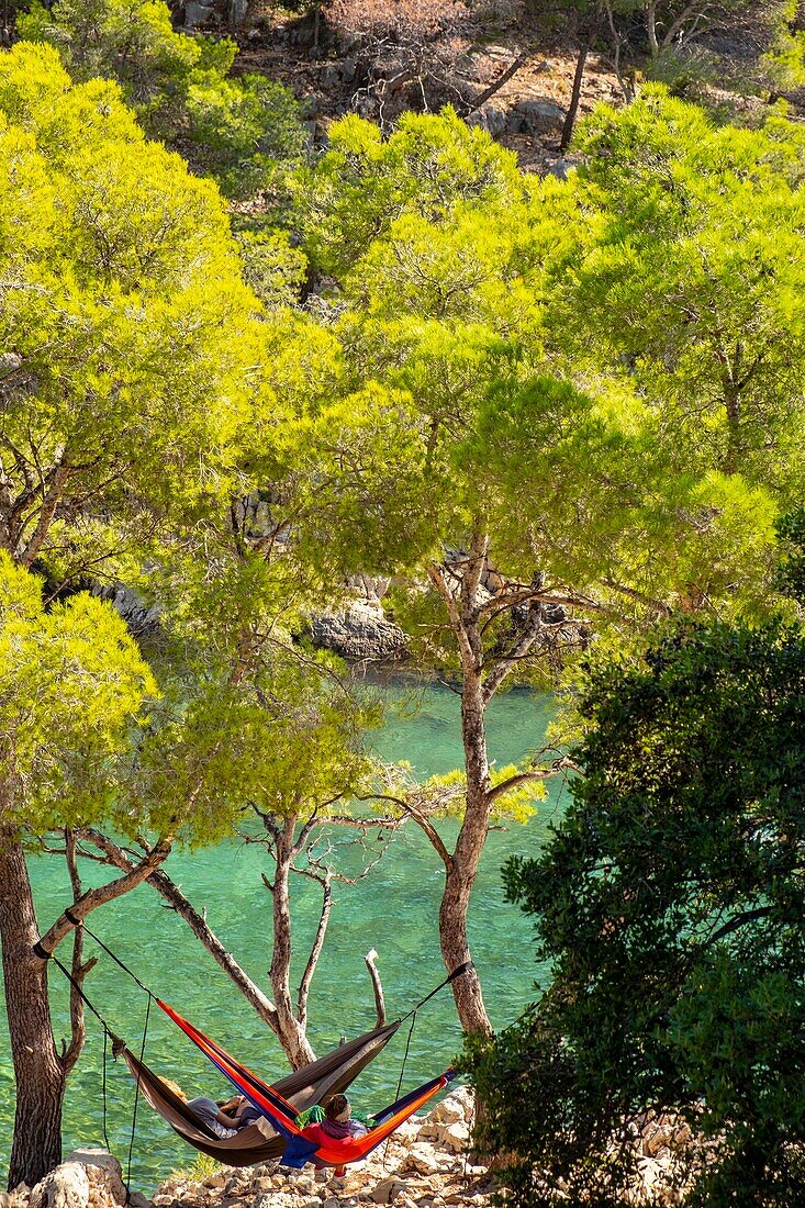 France, Bouches du Rhone, Cassis, the cove of Port Pin, Calanques National Park