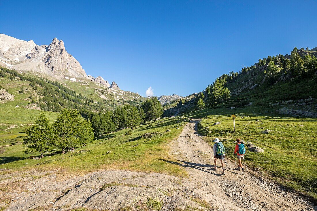 Frankreich, Hautes Alpes, Nevache, La Claree Tal, Wanderer auf dem GR pays du Tour du Mont Thabor, im Hintergrund das Massiv des Cerces (3093m) und die Gipfel des Main de Crepin (2942m)