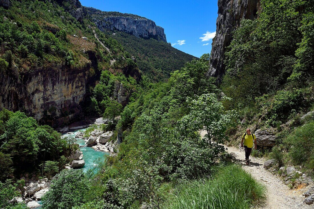 France, Alpes de Haute Provence, Parc Naturel Regional du Verdon, Rougon, Grand Canyon of Verdon next to the corridor Samson and the trail sentier Blanc Martel on the GR4