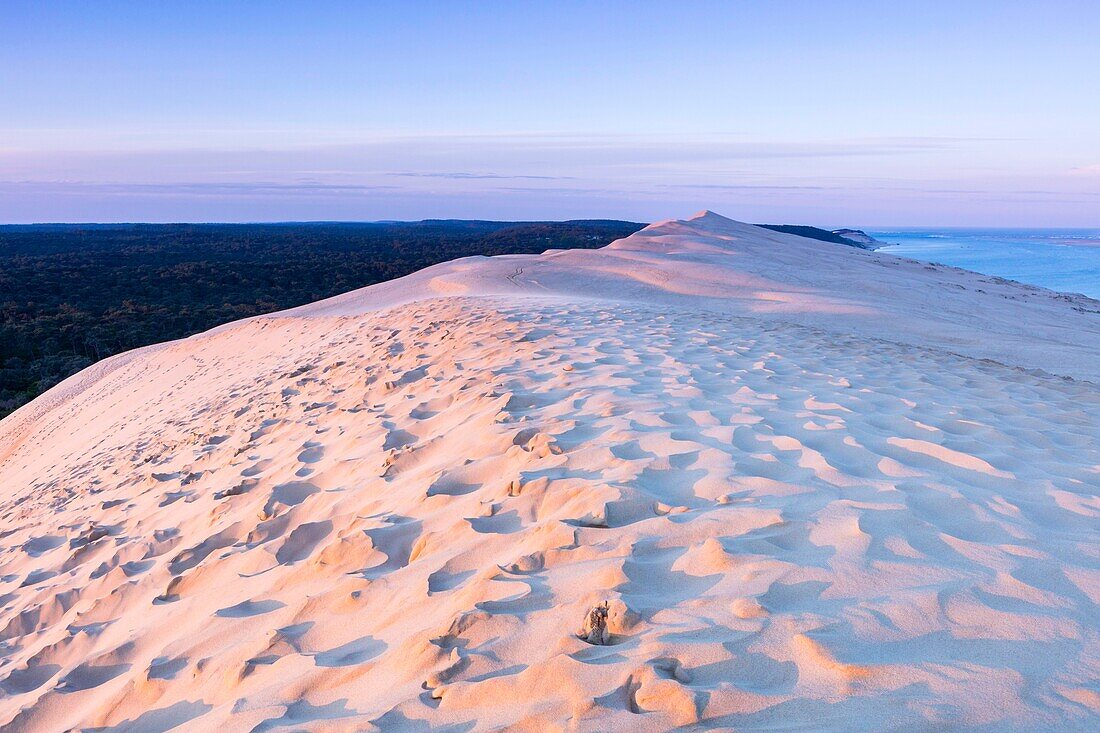 France, Gironde, Pyla-sur-Mer, La Teste de Buch, listed as Grand Site, view of the dune of the pilat at sunrise