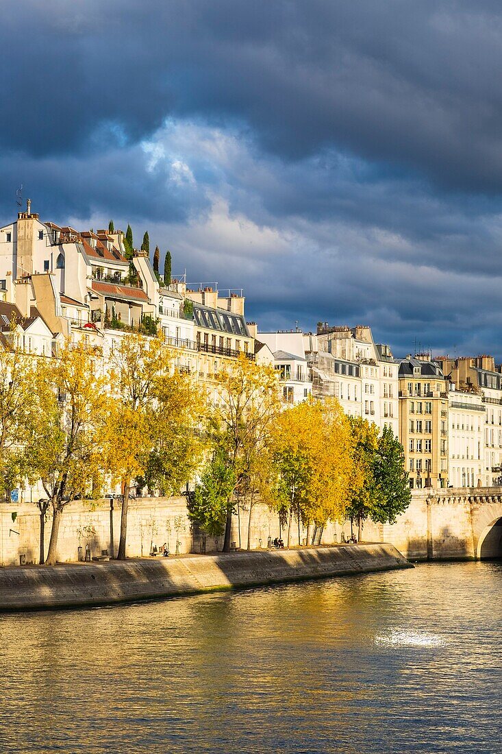 Frankreich, Paris, die Ufer der Seine, die von der UNESCO zum Weltkulturerbe erklärt wurden, Quai d'Orléans auf der Ile Saint-Louis