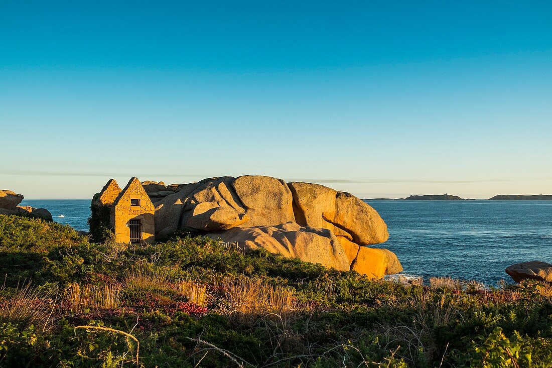 Frankreich, Cotes d'Armor, Ploumanach, Perros-Guirec, Rosa Granitküste, der Zollweg oder der Wanderweg GR Grande 34