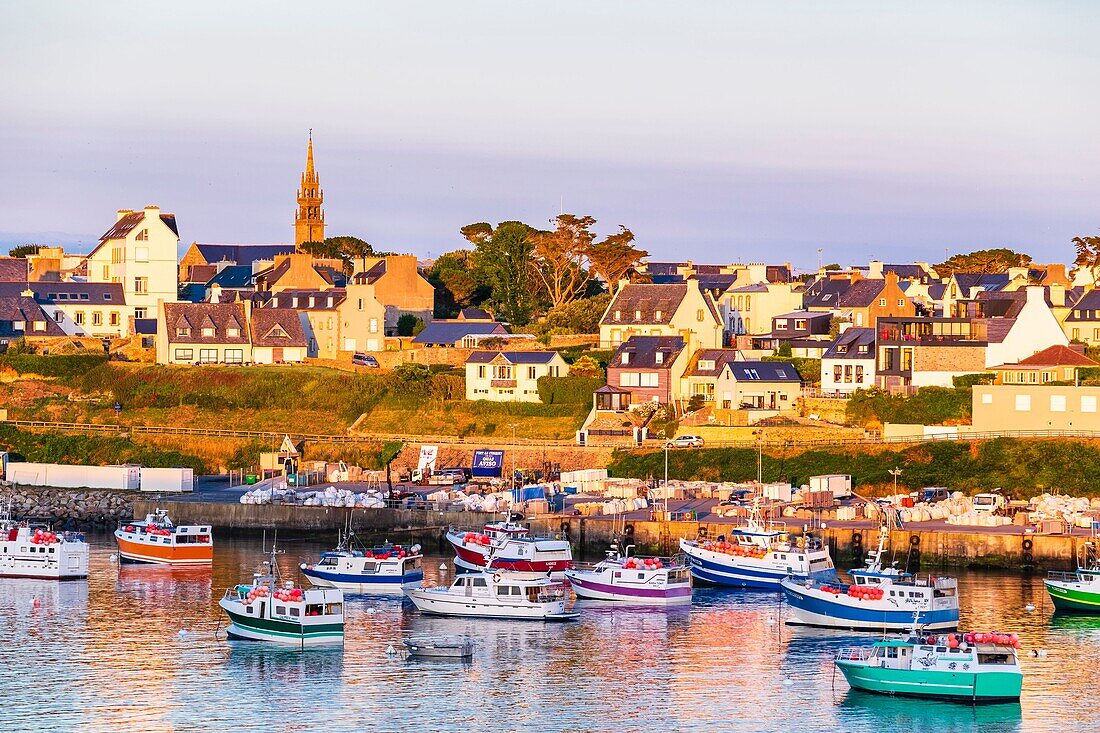 France, Finistere, Le Conquet, fishing port in the marine natural park of Iroise