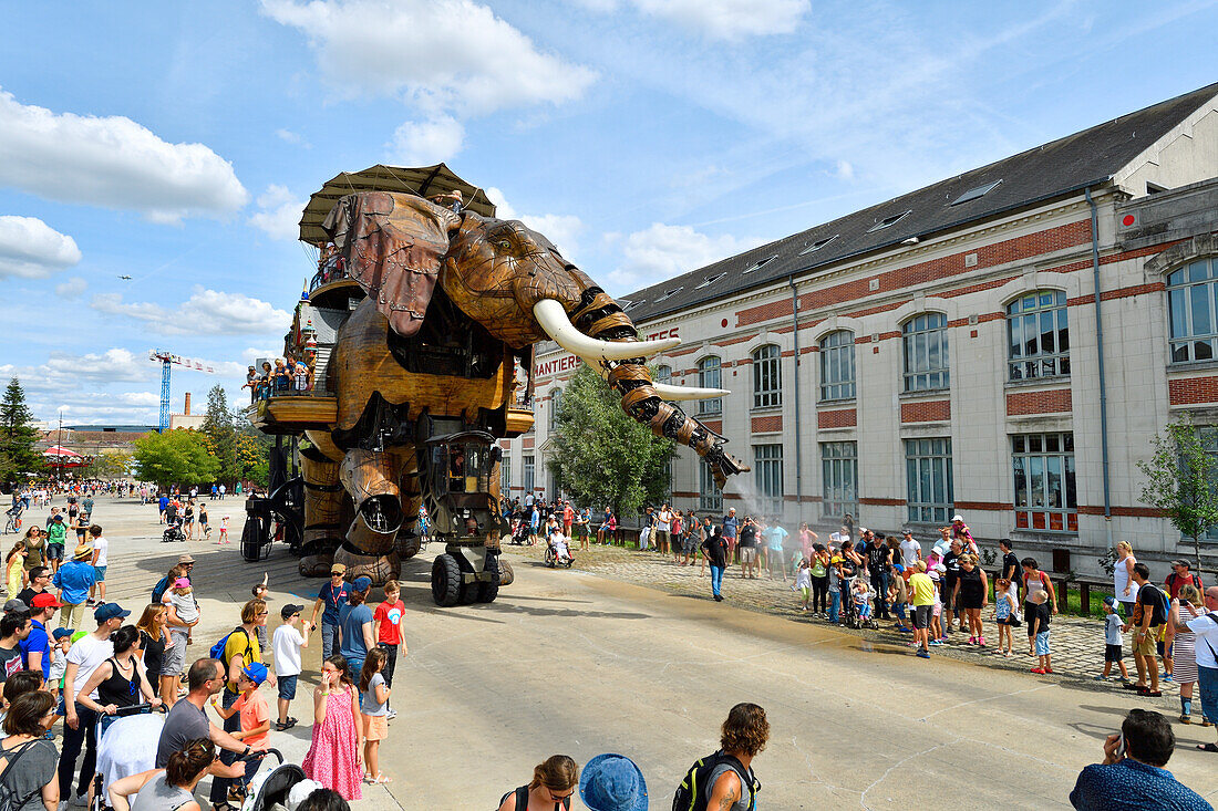 France, Loire Atlantique, Nantes, Ile de Nantes, Les Machines de l'Ile (the Machines of the Island) in warehouses of the former shipyards, artistic project conceived by Francois Delaroziere and Pierre Orefice, the elephant, automaton