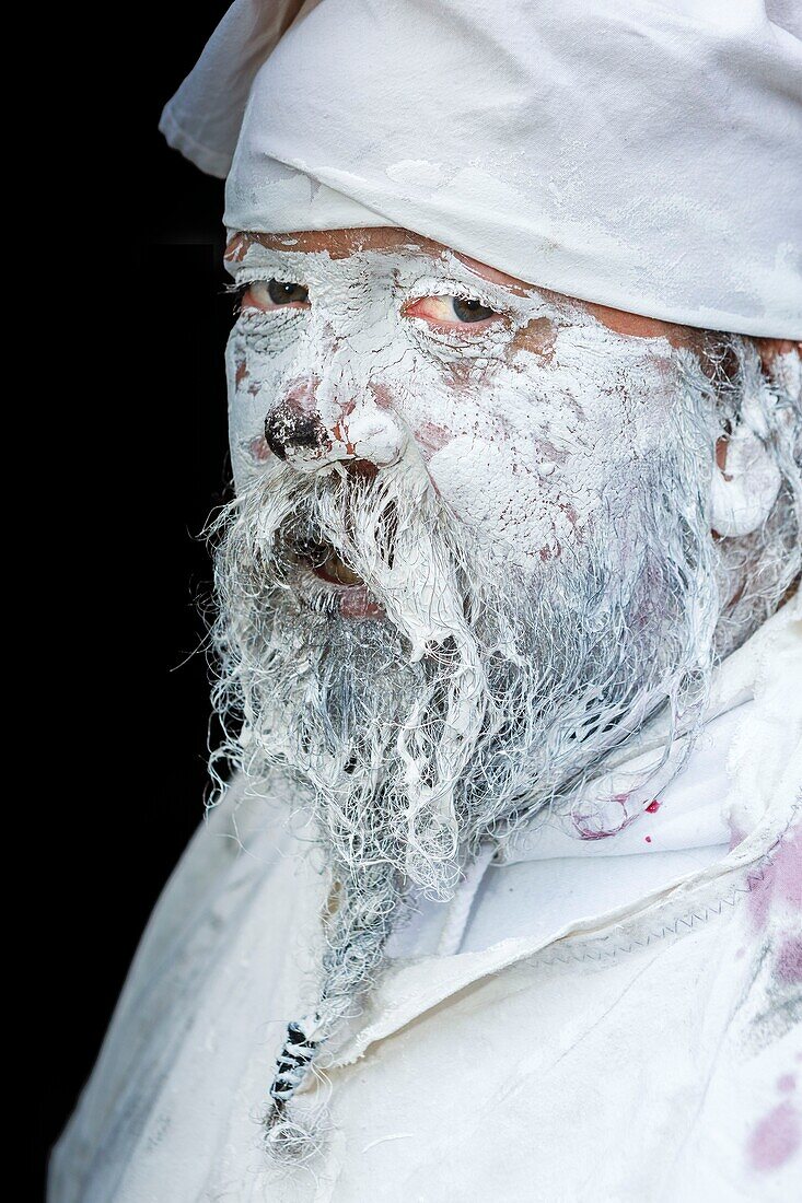 France, Pyrenees Orientales, Prats-de-Mollo, life scene during the bear celebrations at the carnival