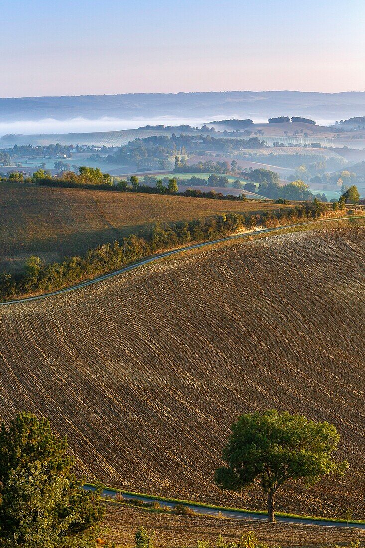 France, Tarn, rural landscape