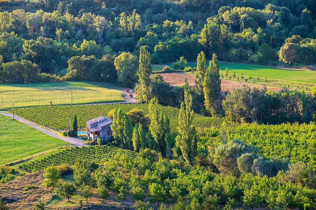 France, Ardeche, Lussas, Ardeche vineyard