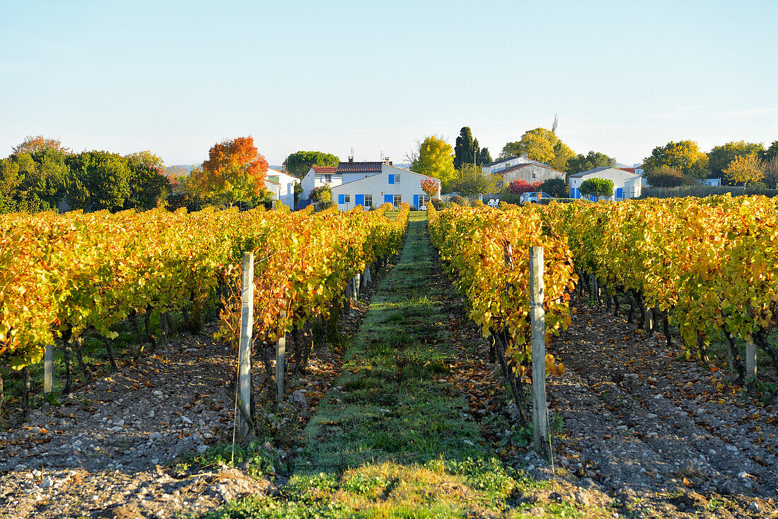 France, Charente Maritime, Gironde estuary, Saintonge, Talmont sur Gironde, labelled Les Plus Beaux Villages de France (The most beautiful villages of France)