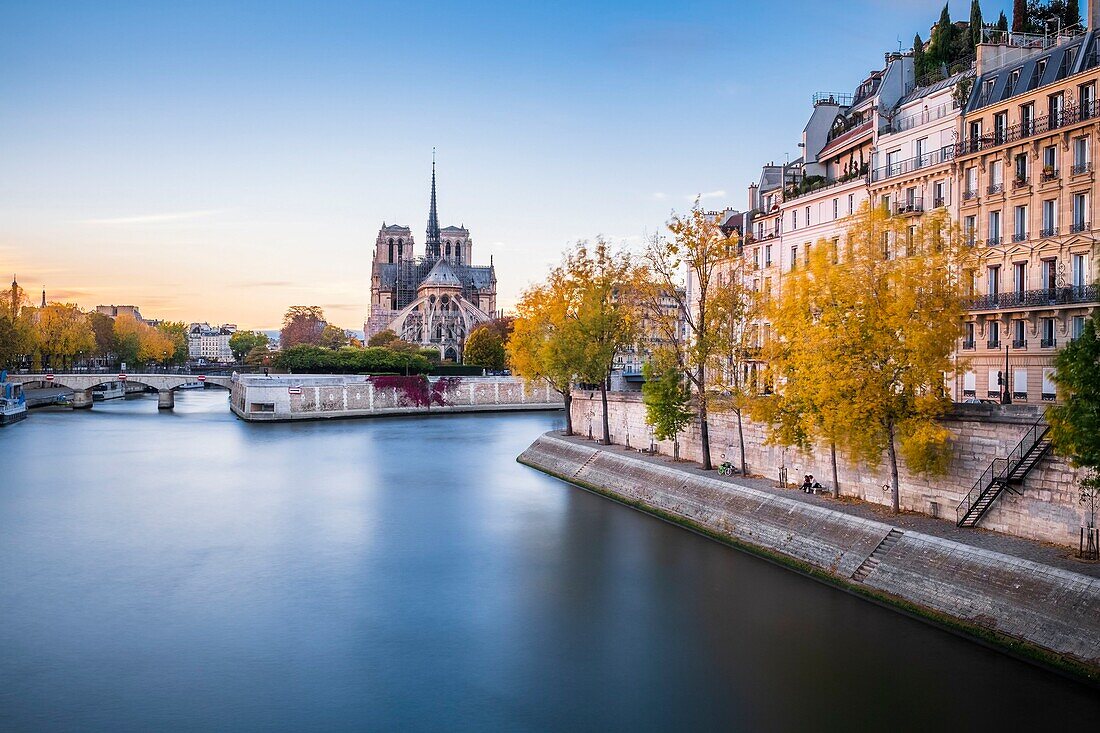 Frankreich, Paris, die Ufer der Seine, die von der UNESCO zum Weltkulturerbe erklärt wurden, Quai d'Orléans auf der Ile Saint-Louis und die Kathedrale Notre-Dame auf der Ile de la Cité