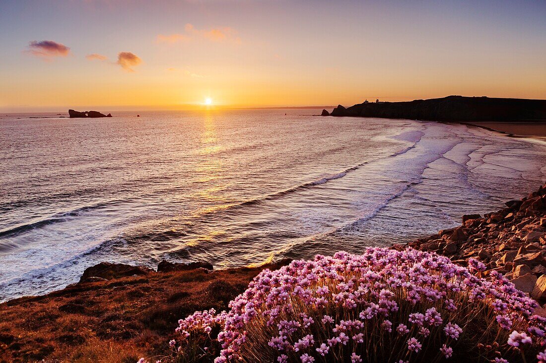 France, Finistere, Regional Natural Armoric Park, Camaret sur Mer, Penhir cape, Pen Hat sunset