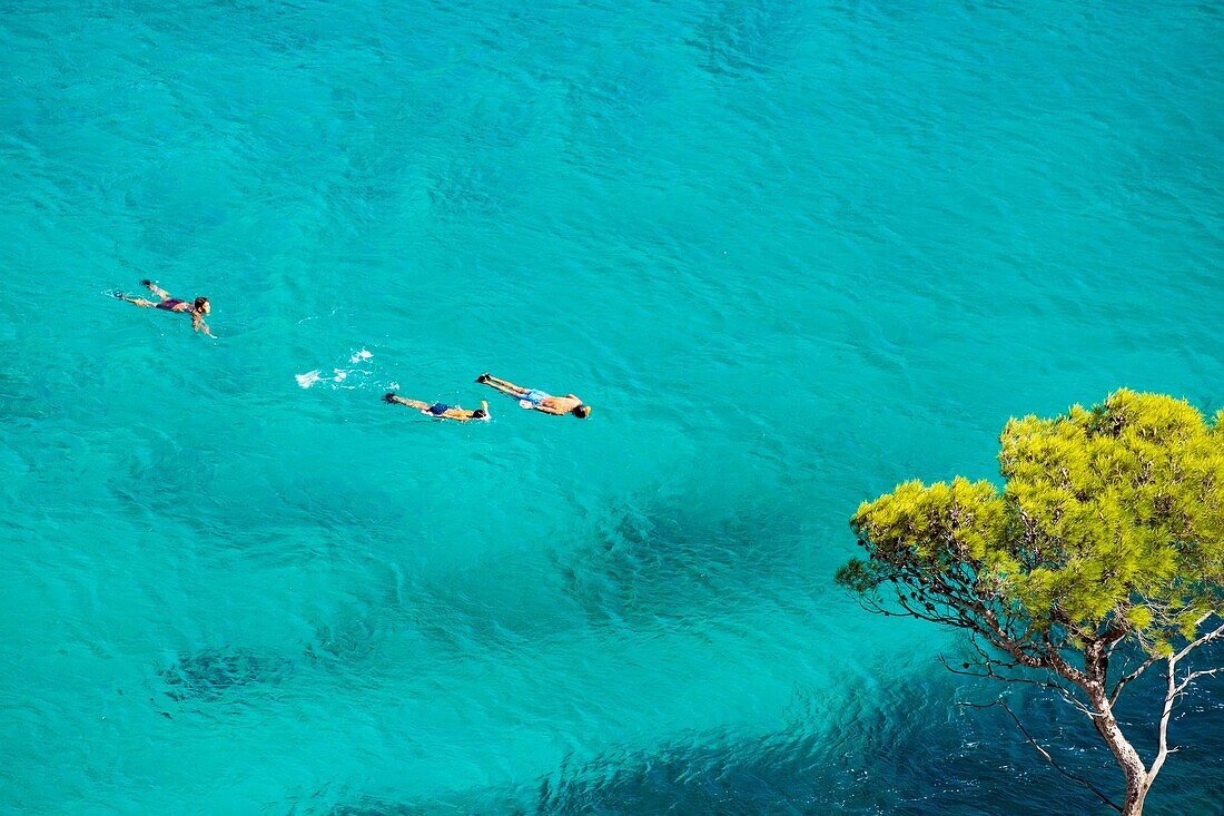 France, Bouches du Rhone, Marseille, Calanque of Sormiou, Calanques National Park