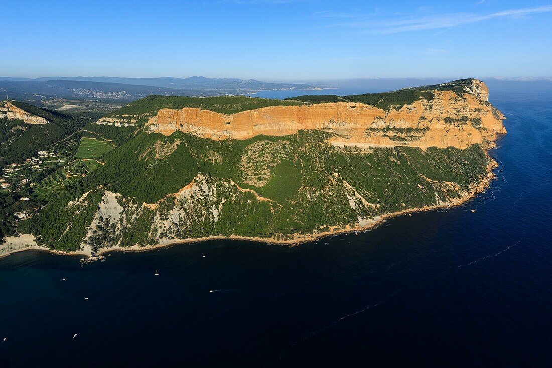 France, Bouches du Rhone, Calanques National Park, Cassis, Cassis Bay, Cap Canaille, Soubeyranes Cliffs (aerial view)