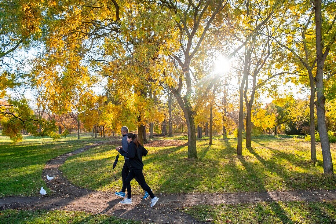 France, Paris, the Bois de Vincennes in autumn