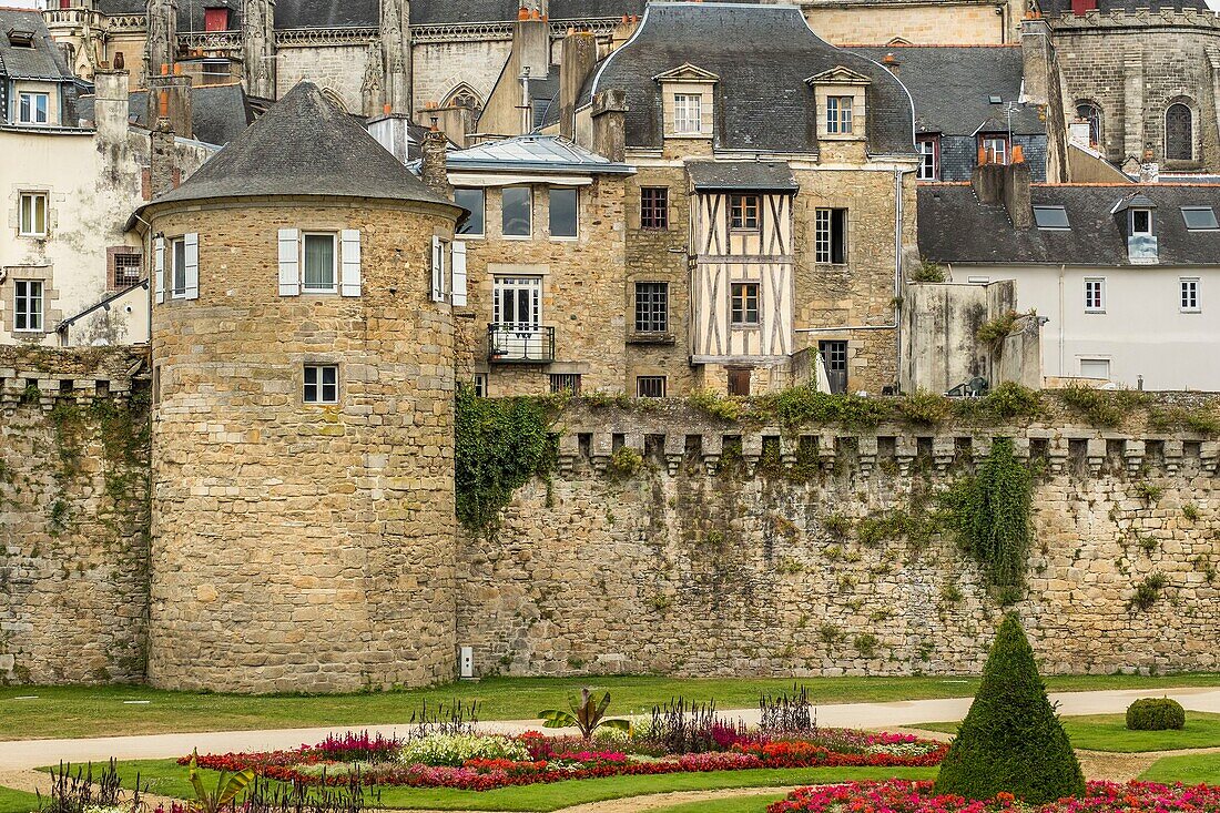 France, Morbihan, Vannes, the ramparts with in bottom the Saint Pierre cathedral