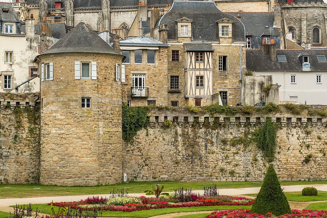 Frankreich, Morbihan, Vannes, die Stadtmauern mit der Kathedrale Saint Pierre im Hintergrund