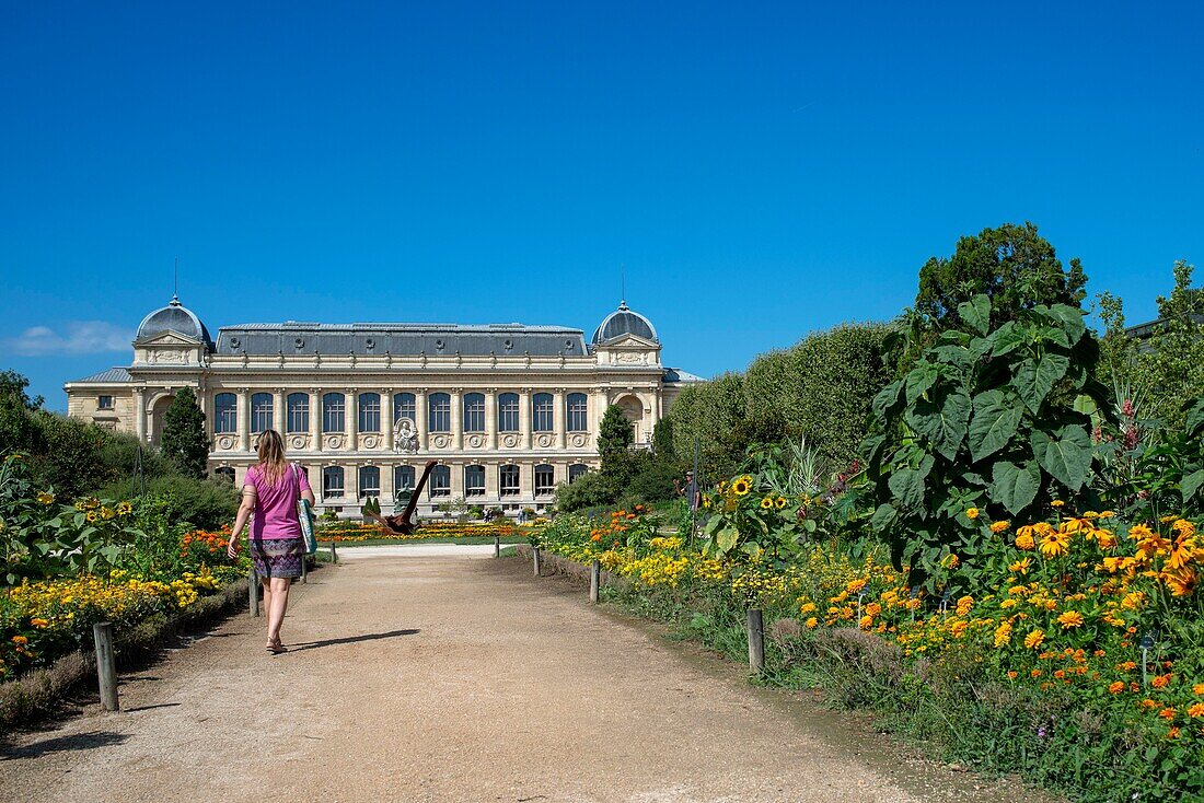 Frankreich, Paris, Jardin des plantes, Spaziergänger auf einem Weg mit der Grande Galerie de l'Evolution im Hintergrund