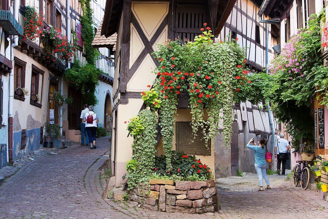 Frankreich, Haut Rhin, Route des Vins d'Alsace, Eguisheim mit der Aufschrift Les Plus Beaux Villages de France (Eines der schönsten Dörfer Frankreichs), Straße der Remparts