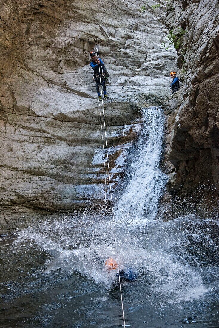 France, Corse du Sud, Bocognano, the canyon of the Richiusa, descent of a zipline waterfall with pulley