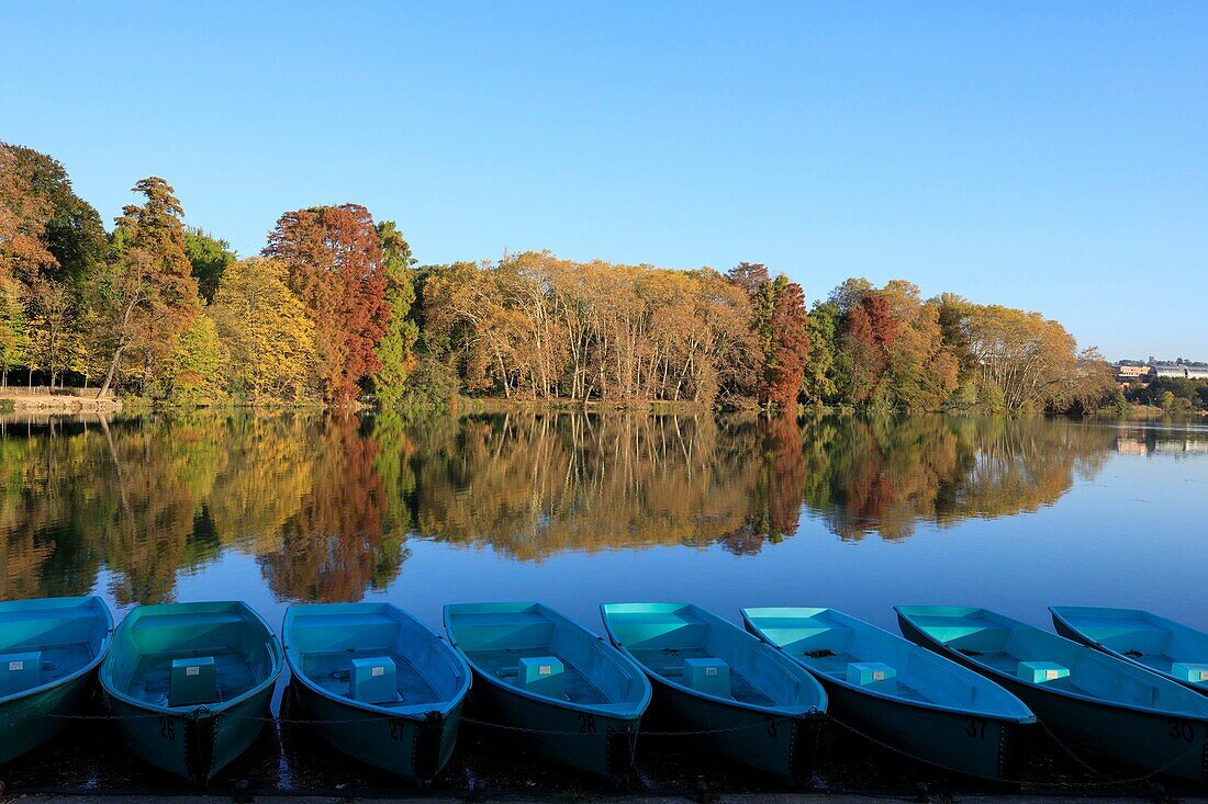 France, Rhône, Lyon, 6th arrondissement, La Tête d'Or district, Lake of the Park of La Tête d'Or