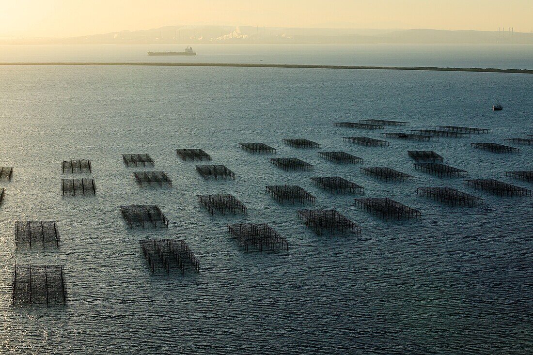 Frankreich, Bouches du Rhone, Port Saint Louis du Rhone, Carteau Bucht, Muschelpark (Luftaufnahme)