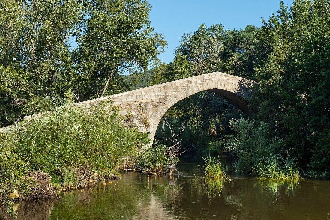 France, Corse du Sud, Alta Rocca, Genoese bridge on the Rizzanese river on the D268 below Sainte Lucie de Tallano