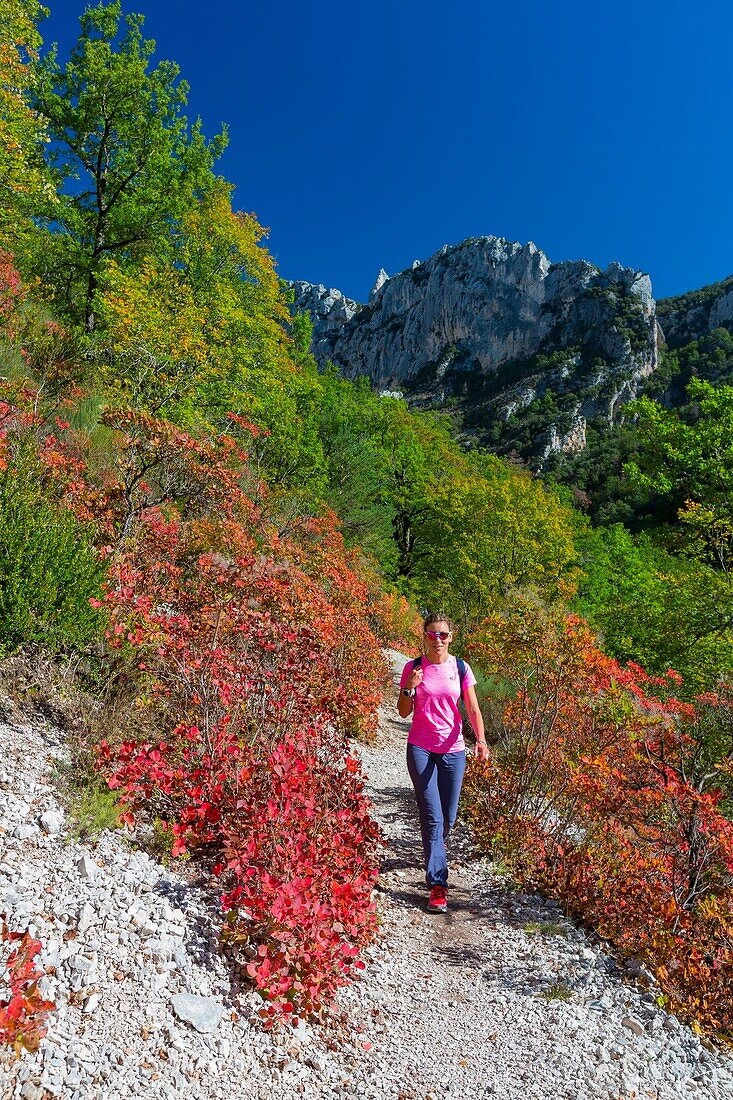 France, Alpes-de-Haute-Provence, Verdon Regional Nature Park, Grand Canyon du Verdon, the Verdon River at the entrance to the Samson corridor, from the Blanc-Martel trail on the GR4, woman practicing hiking