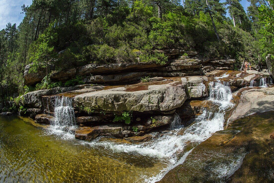 France, Corse du Sud, D 84, Evisa, regional natural park, the enchanting site of the waterfalls of Aitone on the eponymous torrent