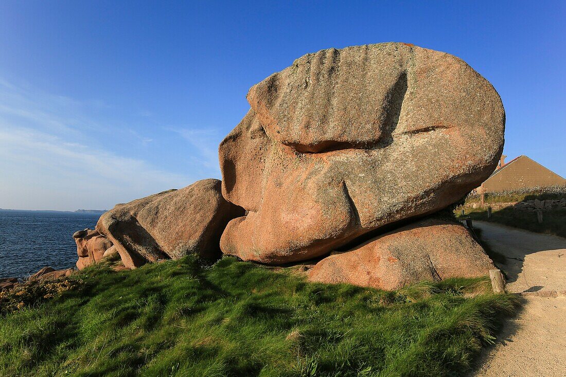 France, Cotes d'Armor, Pink Granite Coast, Perros Guirec, on the Customs trail or GR 34 Grande Randonnee path,