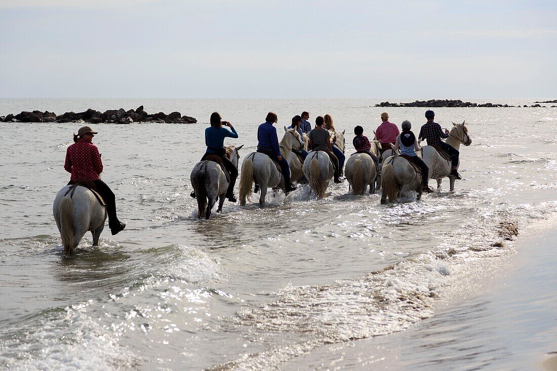 Frankreich, Bouches du Rhone, Regionaler Naturpark Camargue, Saintes Maries de la Mer, Die vier Maries, Strand, Reitwanderung mit den Pferden der Manade Pagès