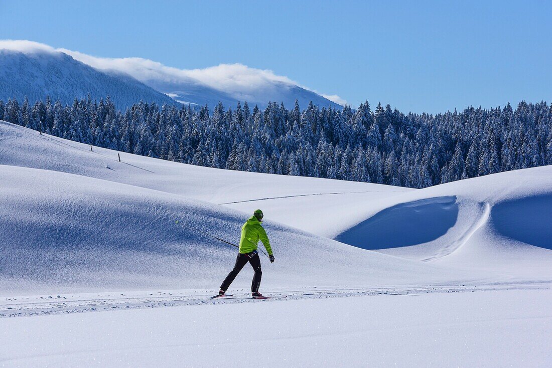 Frankreich, Jura, GTJ, große Juraüberquerung auf Schneeschuhen, Skilanglauf auf der Hochebene der Hautes Combes