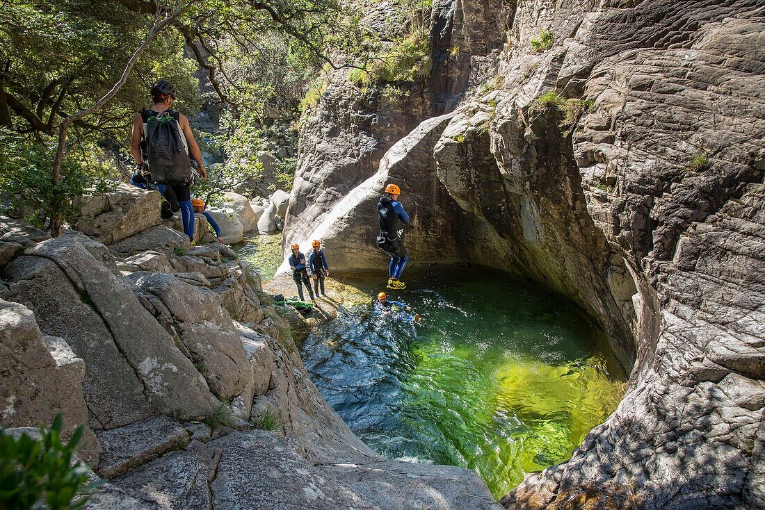 France, Corse du Sud, Bocognano, the canyon of the Richiusa, jump in the basins emerald color