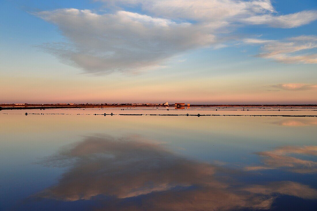 France, Aude, Narbonne, Corbieres, Gruissan, Les Salins (salt marsh) at La Cambuze du Saunier