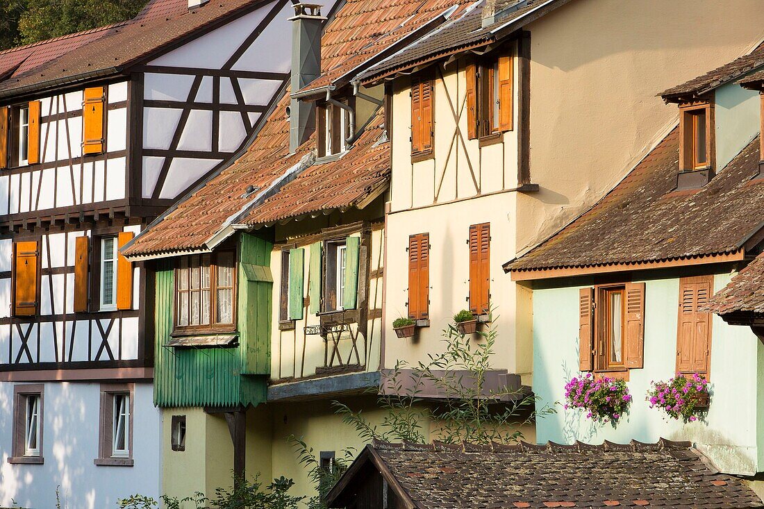 Frankreich, Haut Rhin, Route des Vins d'Alsace, Kaysersberg mit der Aufschrift Les Plus Beaux Villages de France (Eines der schönsten Dörfer Frankreichs), Fassade einer Reihe traditioneller Häuser