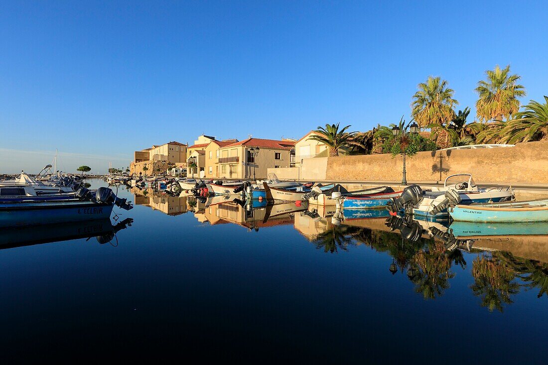 France, Herault, Loupian, Etang de Thau, oyster beds, Mont Saint Clair in Sete in the background