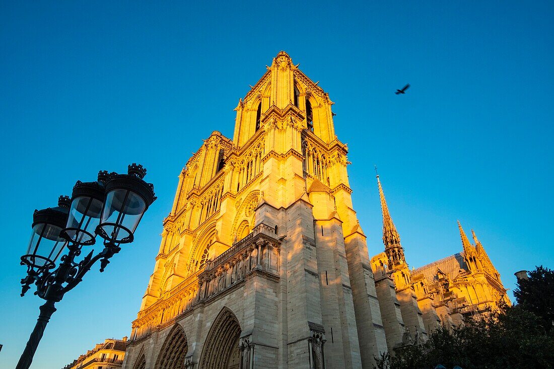 France, Paris, the cathedral Notre Dame de Paris