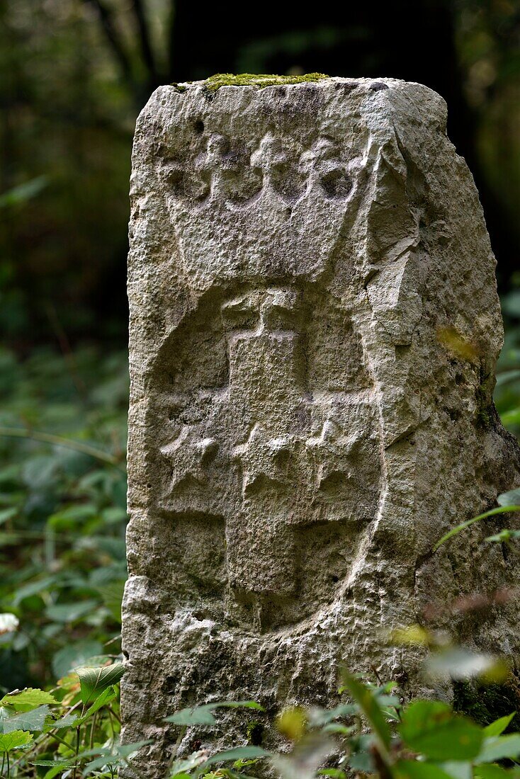 France, Territoire de Belfort, Saint Dizier l Eveque, in the direction of Badevel, forest, historical path of the boundary stones of the Principality of Montbeliard, boundary dated 18th century, crest of the family of Cardinal Mazarin