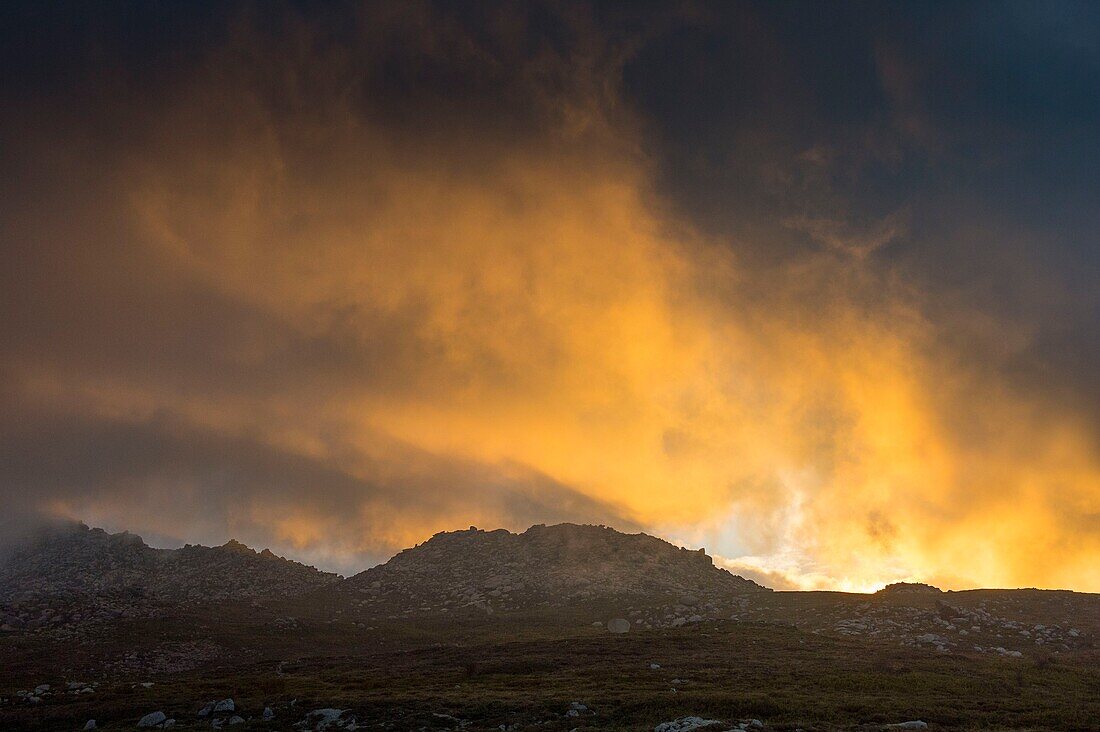 France, Corse du Sud, Alta Rocca, plateau of Coscione, blazing sky of the sunrise above Monte Canoso from the Bucchinera car park