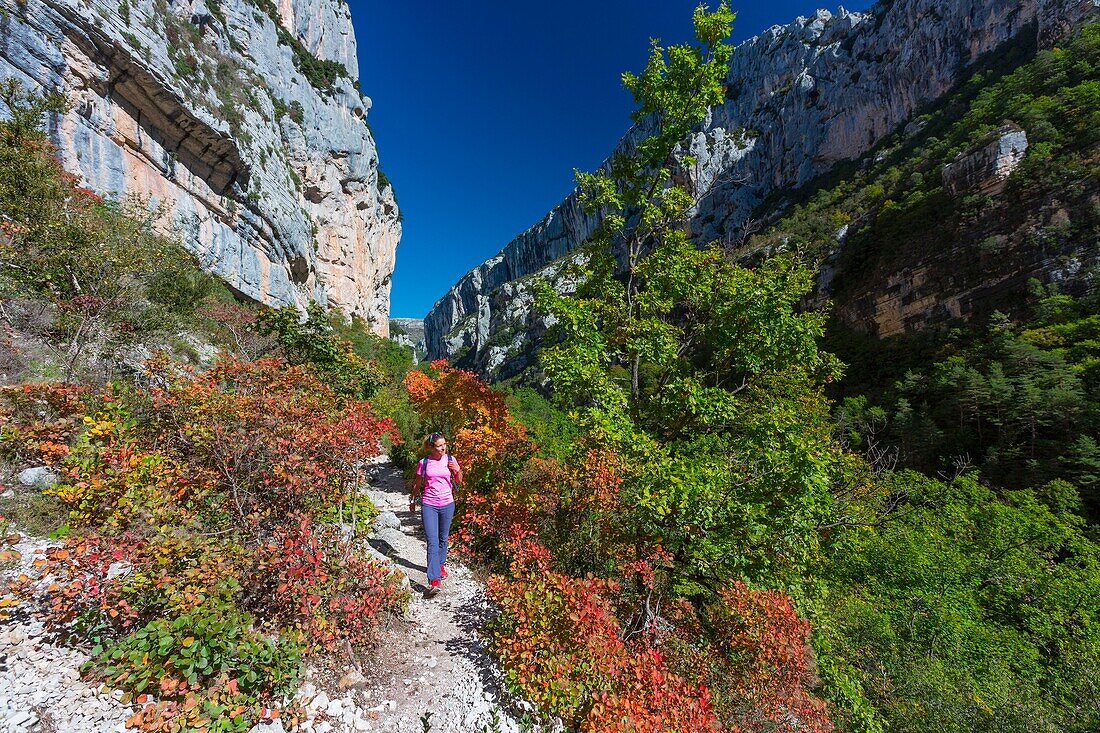 France, Alpes-de-Haute-Provence, Verdon Regional Nature Park, Grand Canyon du Verdon, the Verdon River at the entrance to the Samson corridor, from the Blanc-Martel trail on the GR4, woman practicing hiking