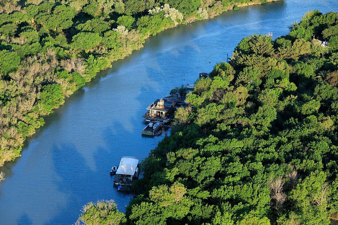 Frankreich, Bouches du Rhone, Regionaler Naturpark der Camargue, Arles, Salin de Giraud, Insel in der Rhone, in der Nähe des Deiches von La Palissade (Luftaufnahme)